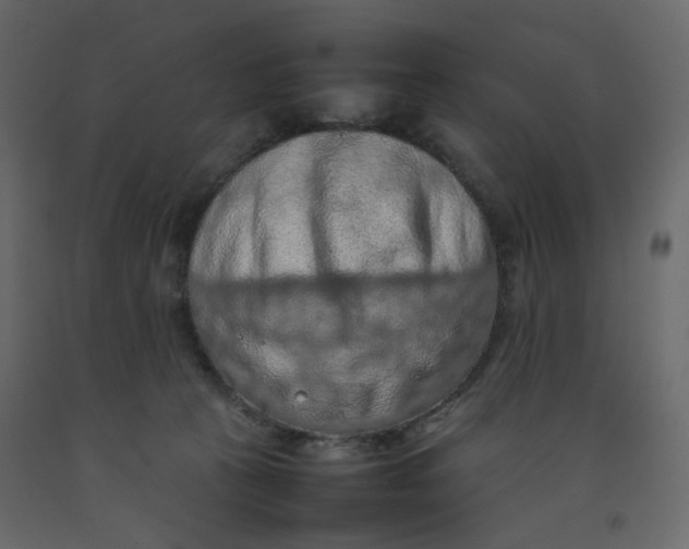 X0000092220273200710051204