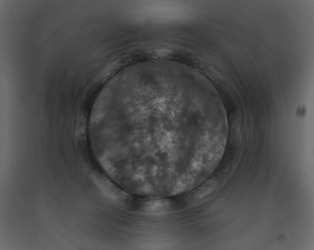 X0000092220274200710051204