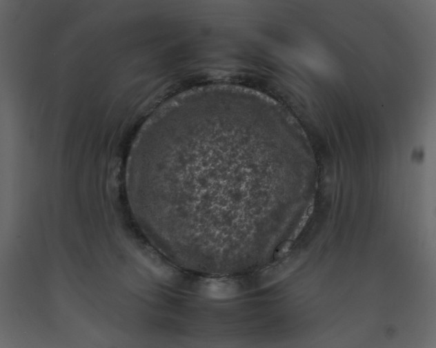 X0000092220275200710051204