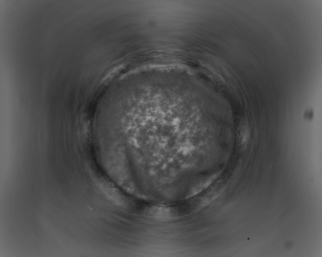 X0000092220276200710051204
