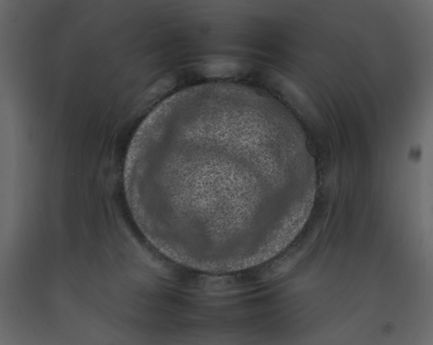 X0000092220277200710051204