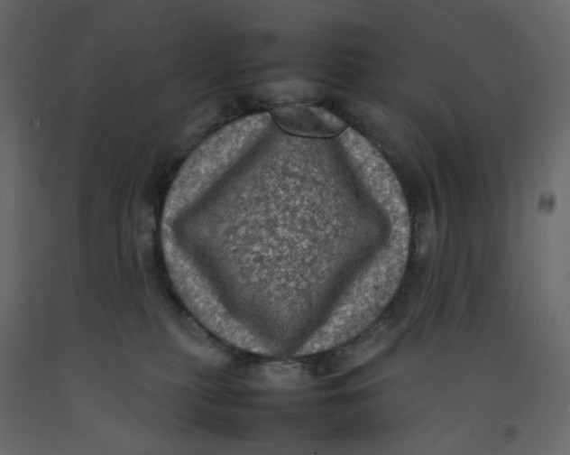 X0000092220279200710051204