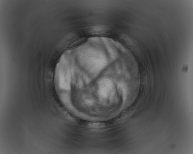 X0000092220281200710051204