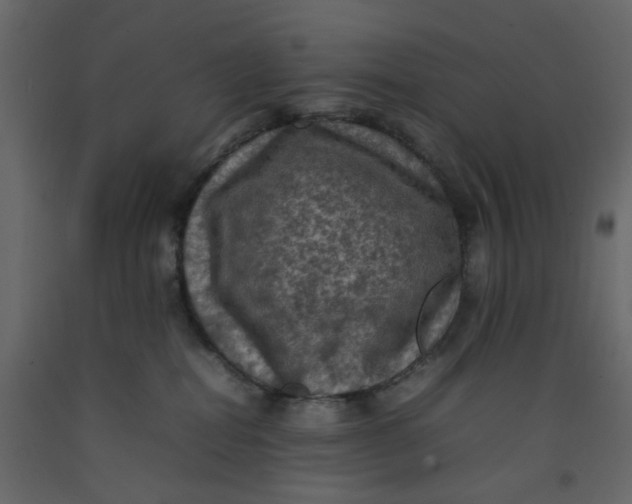 X0000092220282200710051204