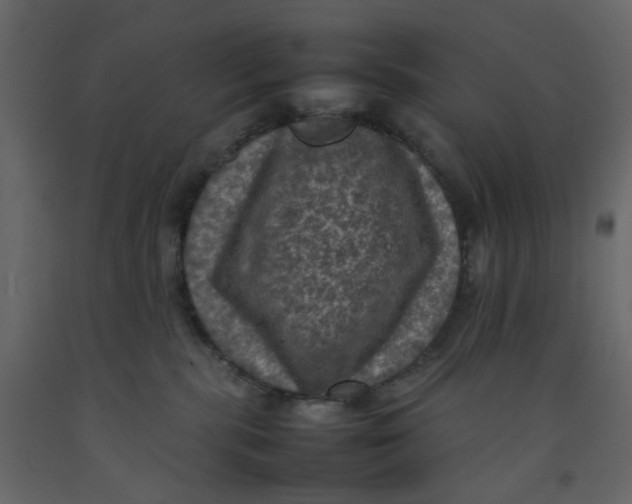 X0000092220283200710051204