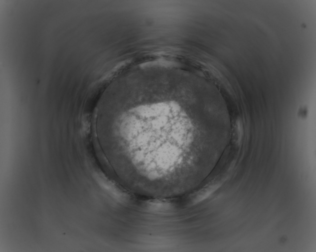 X0000092220284200710051204