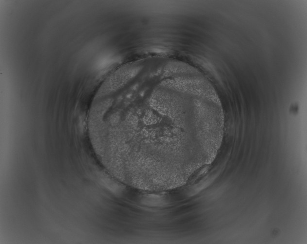 X0000092220285200710051204
