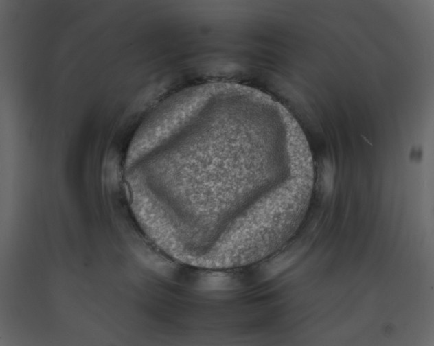 X0000092220287200710051204