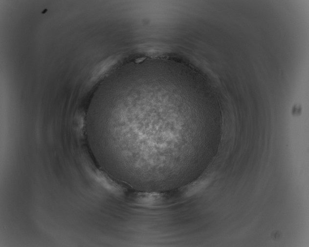 X0000092220288200710051204
