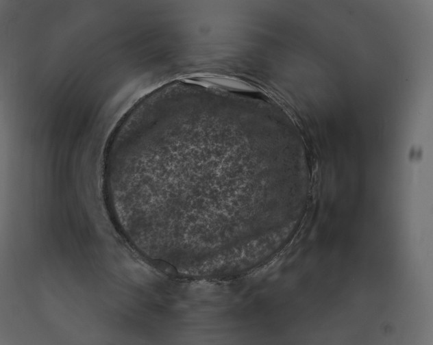 X0000092220290200710051204