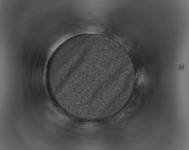 X0000092220292200710051204