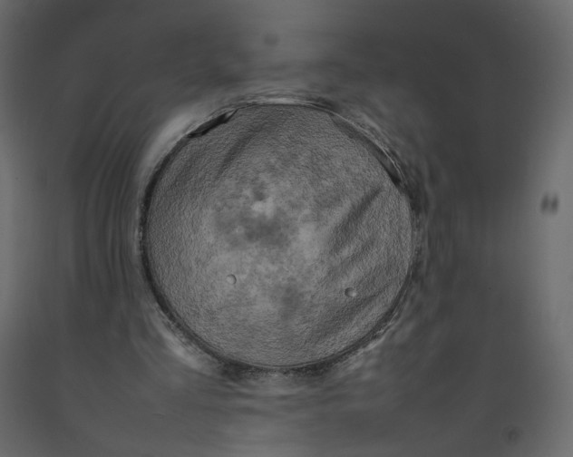 X0000092220293200710051204