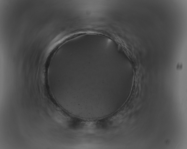X0000092220295200710051204