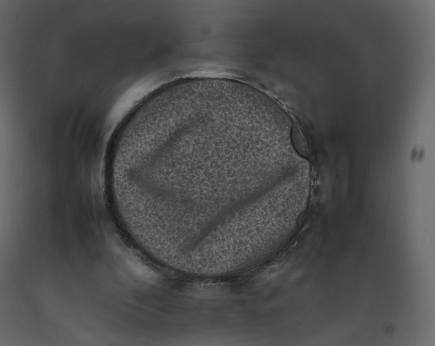 X0000092220296200710051204