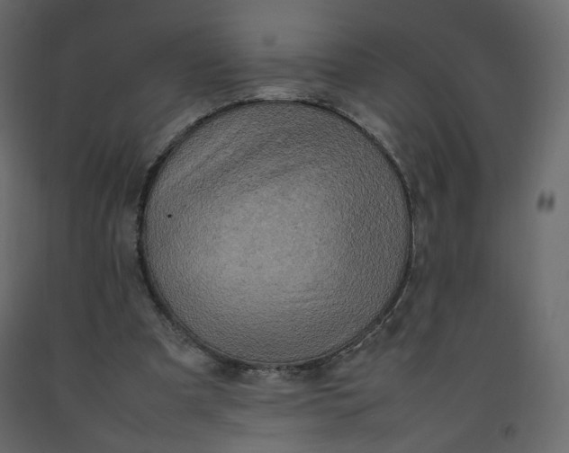 X0000092220297200710051204