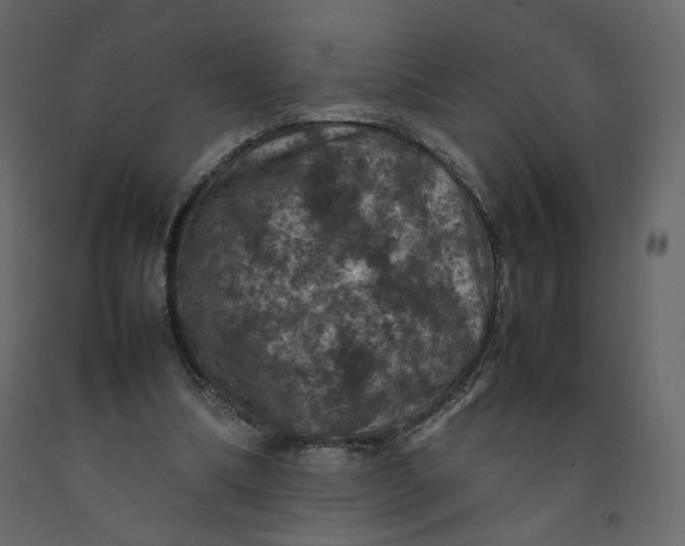 X0000092220298200710051204