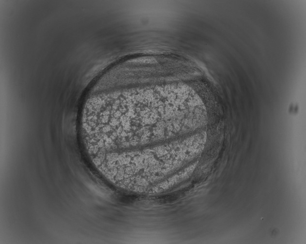 X0000092220299200710051204