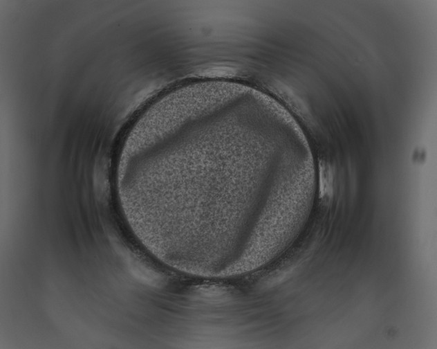 X0000092220300200710051204