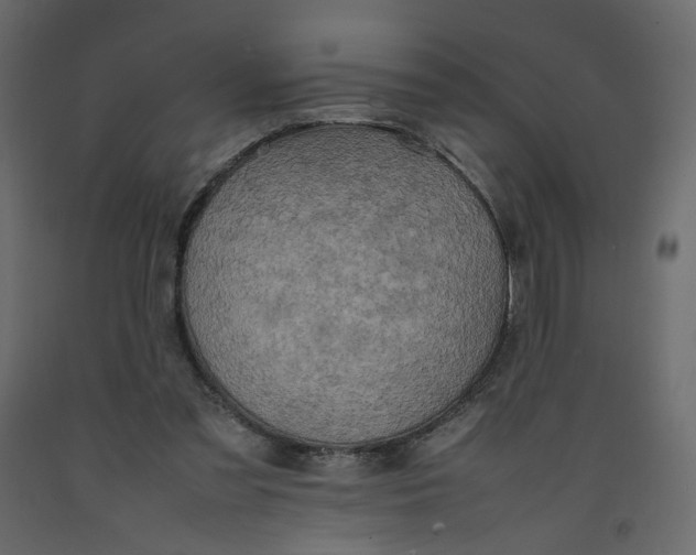 X0000092220301200710051204