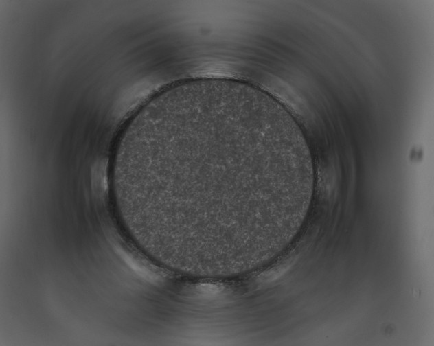 X0000092220302200710051204