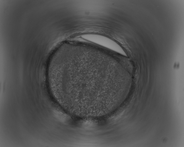 X0000092220303200710051204
