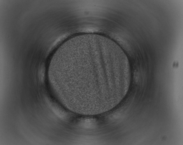 X0000092220304200710051204