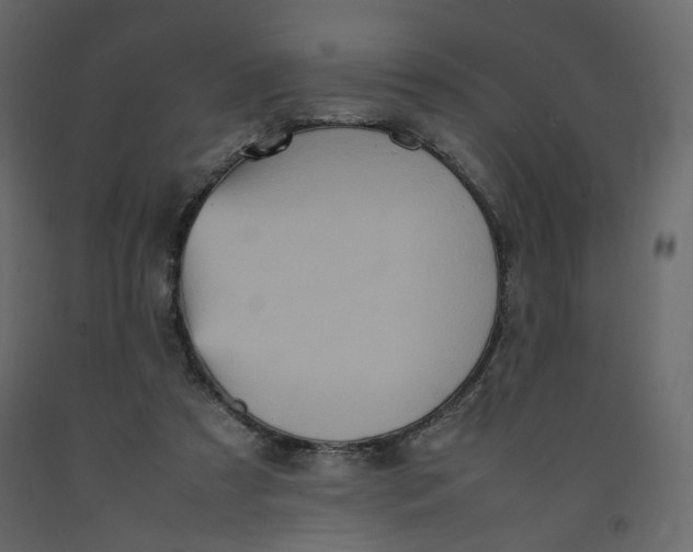X0000092220305200710051204