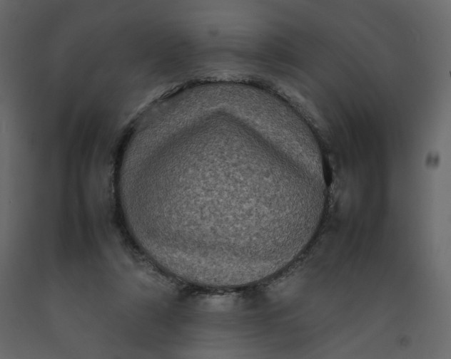 X0000092220306200710051204