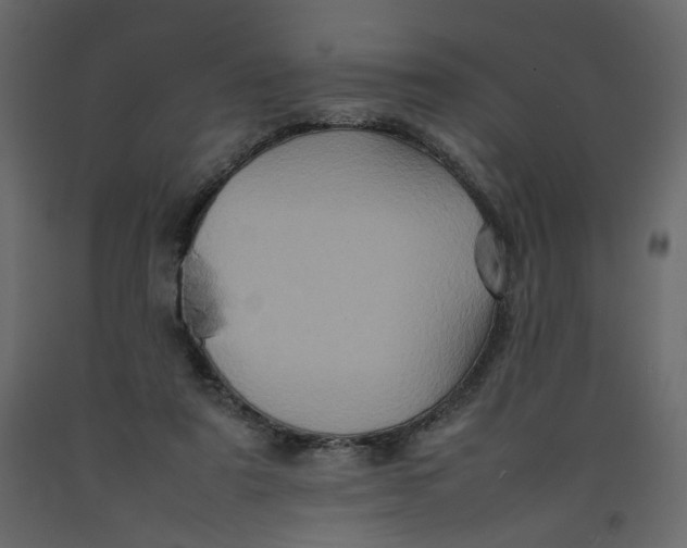 X0000092220307200710051204