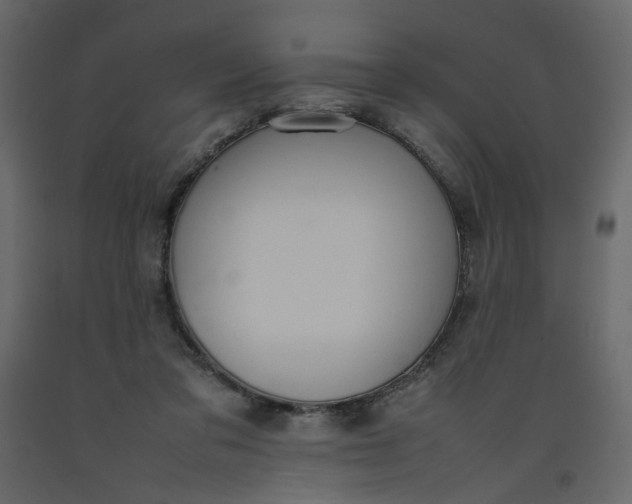 X0000092220309200710051204