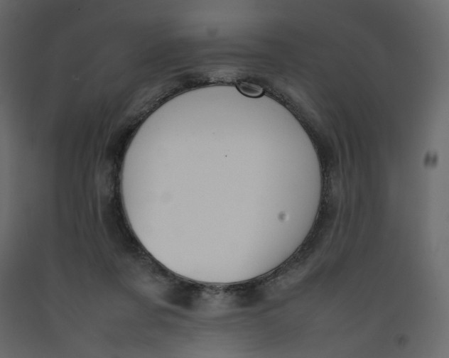 X0000092220311200710051204