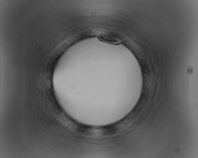 X0000092220313200710051204
