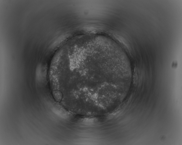 X0000092220314200710051204