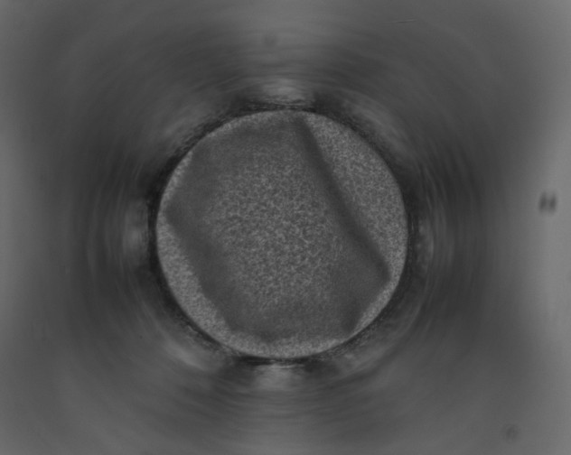 X0000092220320200710051203