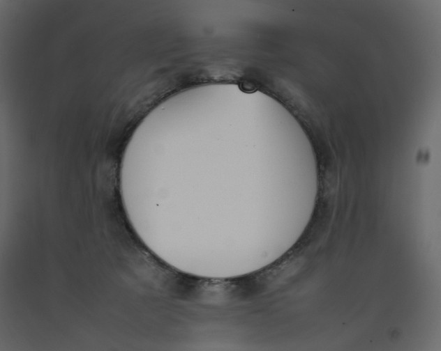 X0000092220321200710051203