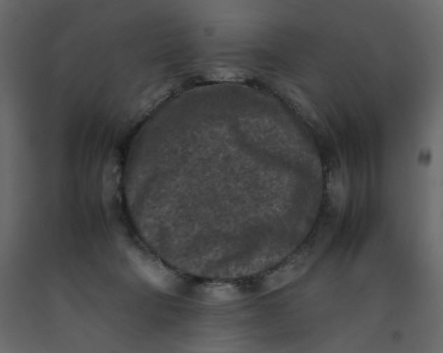 X0000092220322200710051203