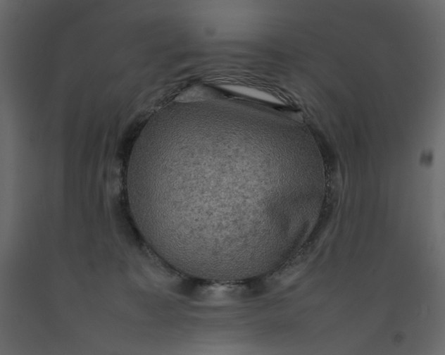 X0000092220323200710051203