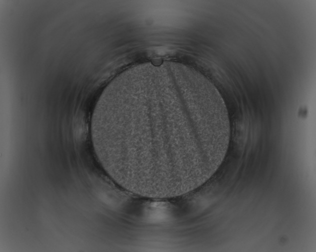 X0000092220324200710051203