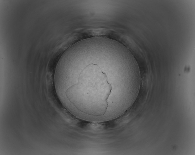 X0000092220327200710051203