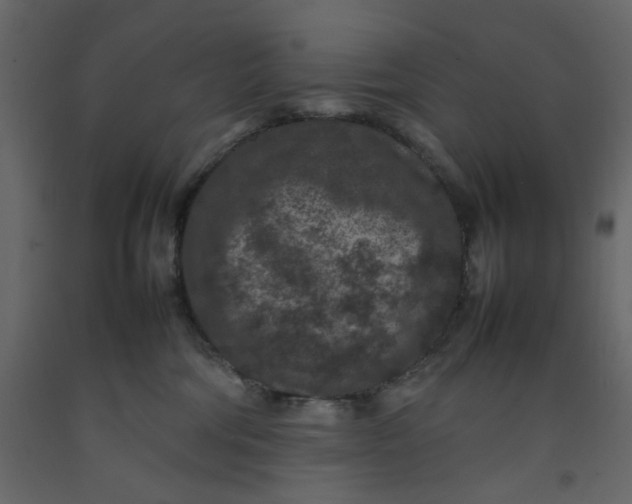 X0000092220330200710051203