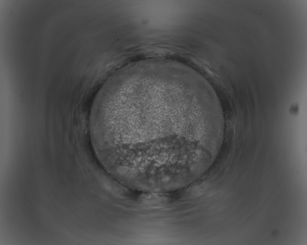 X0000092220331200710051203