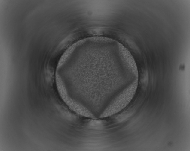 X0000092220332200710051203