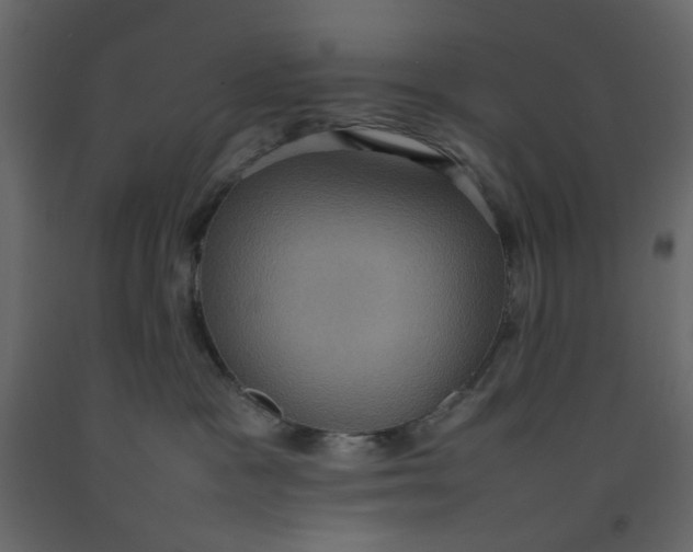 X0000092220333200710051203