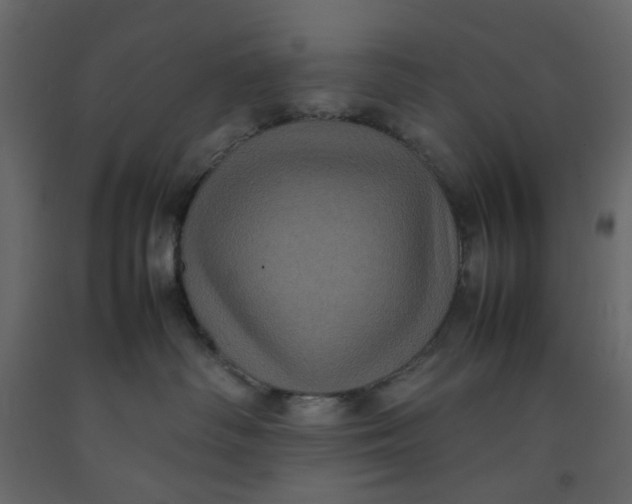 X0000092220334200710051203