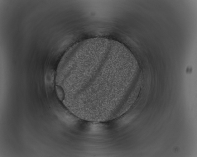 X0000092220336200710051203