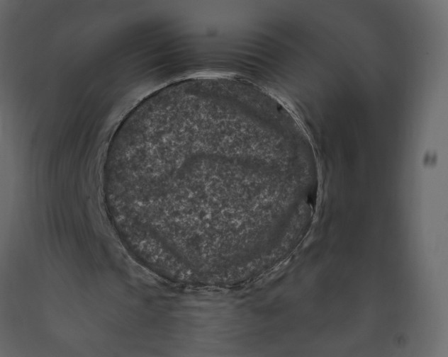 X0000092220337200710051203