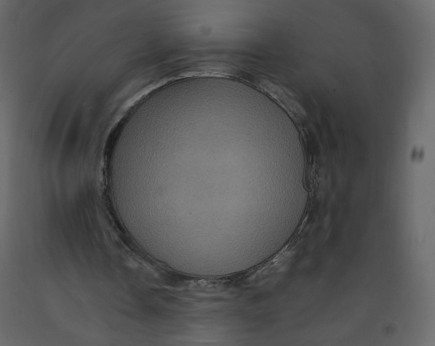 X0000092220338200710051203