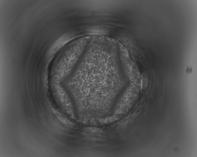 X0000092220339200710051203
