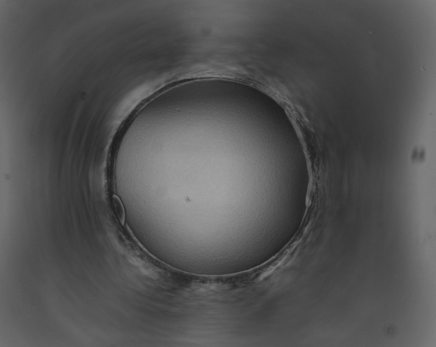 X0000092220340200710051203