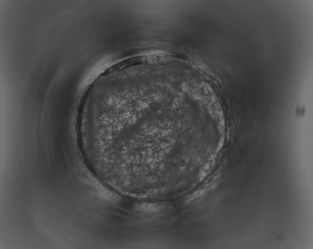 X0000092220341200710051203